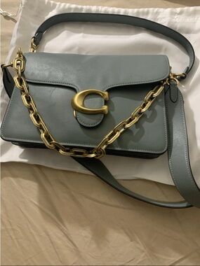 COACH  Chain Tabby Shoulder Bag Color Sage Green